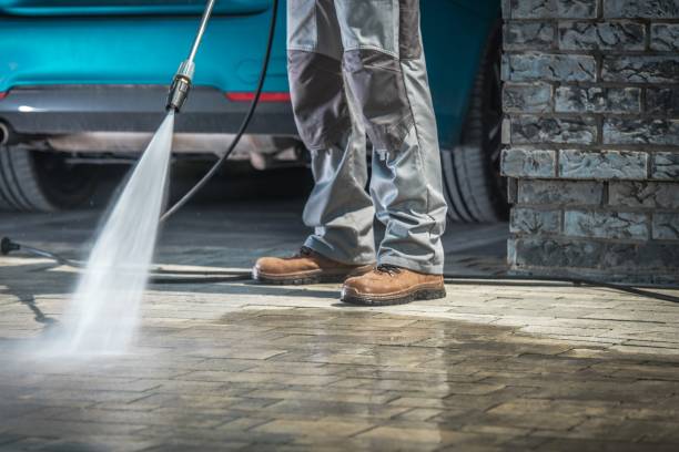 Best Paint Preparation  in Mccla, AL