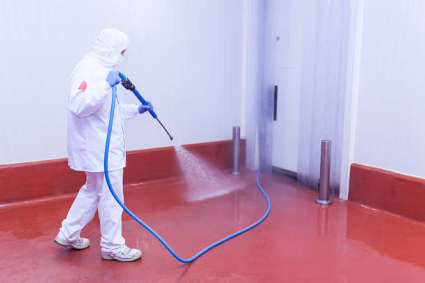 Best Solar Panel Cleaning  in Mccla, AL